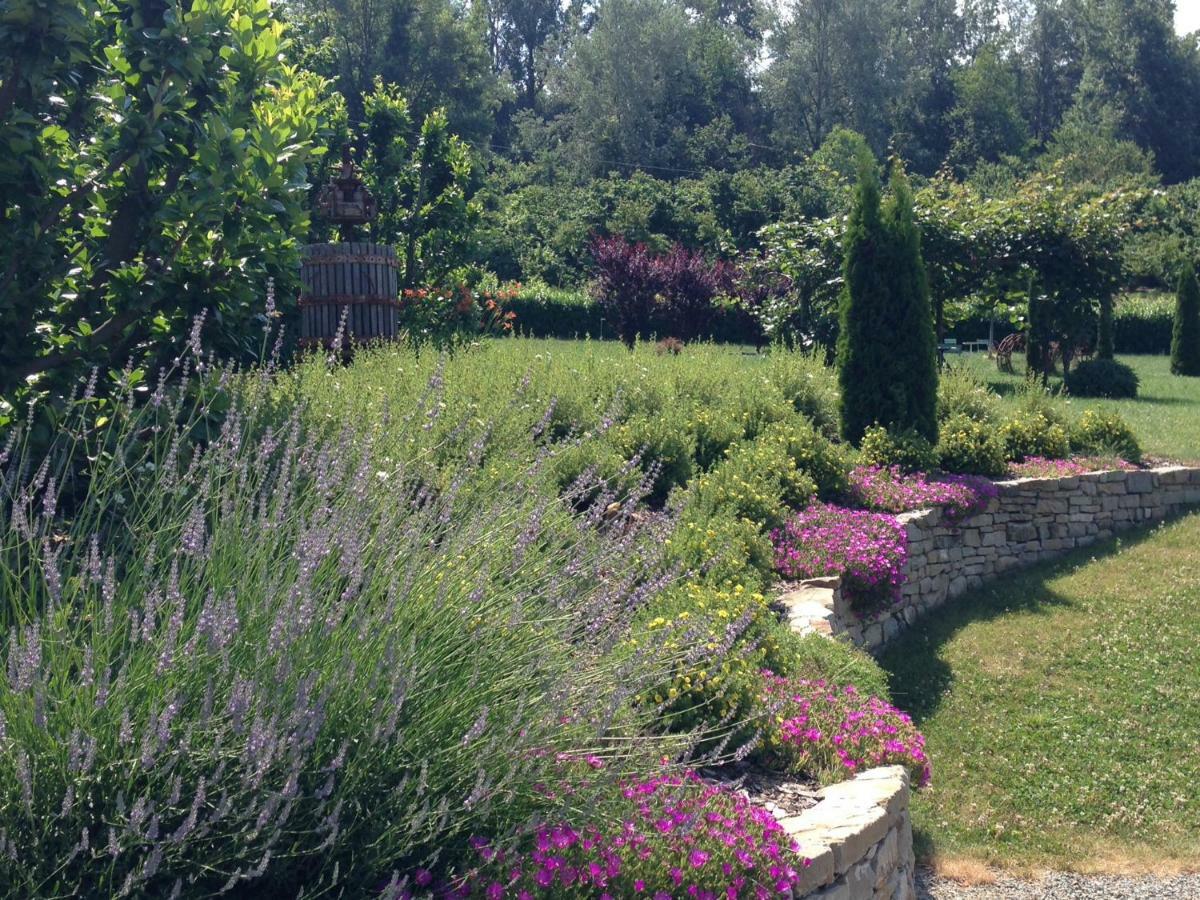 B&B Il Sogno Cossano Belbo Exterior foto